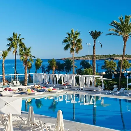 Hotel Protur Playa Cala Millor